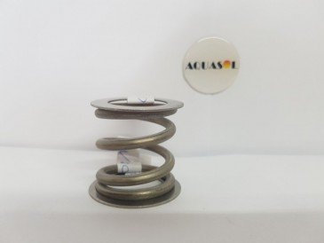 Mola Inox da Válvula + 2 Arruelas Lisa Inox Veico