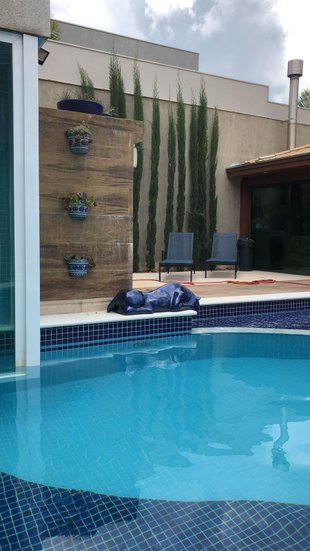 Escultura Pantera Bebendo Àgua para Piscinas