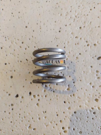 Mola 4 Espirais em Inox do Filtro para Piscina Sibrape
