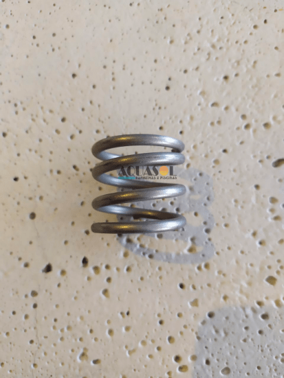 Mola 4 Espirais em Inox do Filtro para Piscina Sibrape