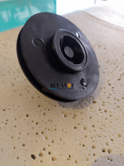 Rotor de 1.5 cv da Motobomba Hidrasul para Piscinas