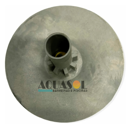 Rotor do Motor de Piscina Modelo 5F Jacuzzi