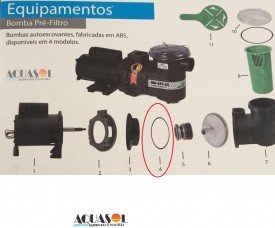 Anel Oring da Motobomba de Piscina Henrimar original