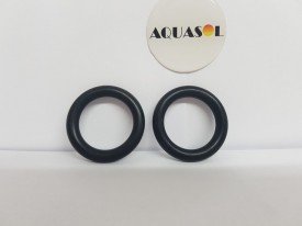 Par de Anéis Oring 317 do Filtro Veico / Fluidra