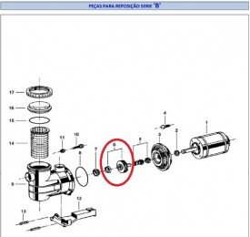 Conjunto Rotor para Motor de Piscina Jacuzzi B