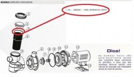 Anel do Pré Filtro da Motobomba para Piscinas Veico