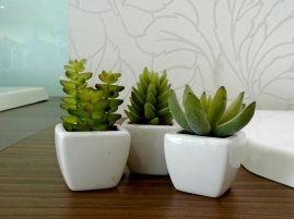 Kit Mini Vasos com 3 unidades - 0,5 x 0,5 x 0,4