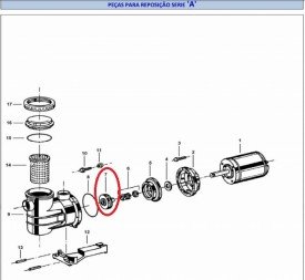 Rotor 1A de 1 cv da Motobomba Jacuzzi Modelo A