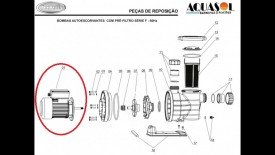 Somente Motor 5F 1/2cv Jacuzzi para Piscinas