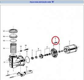 Parafuso Sextavado com Arruela para Motor Jacuzzi B