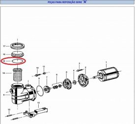 Oring do Pre Filtro do Motor Jacuzzi Linha A