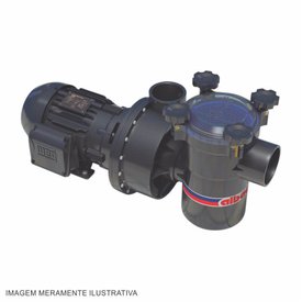 Motobomba para Piscinas 4 Cv Fechado IP 55 Albacete APP-8 Trifásica