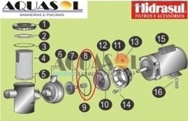 Junta do Corpo da Motobomba para Piscinas Hidrasul