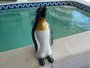Cascata de Pinguim Fixo